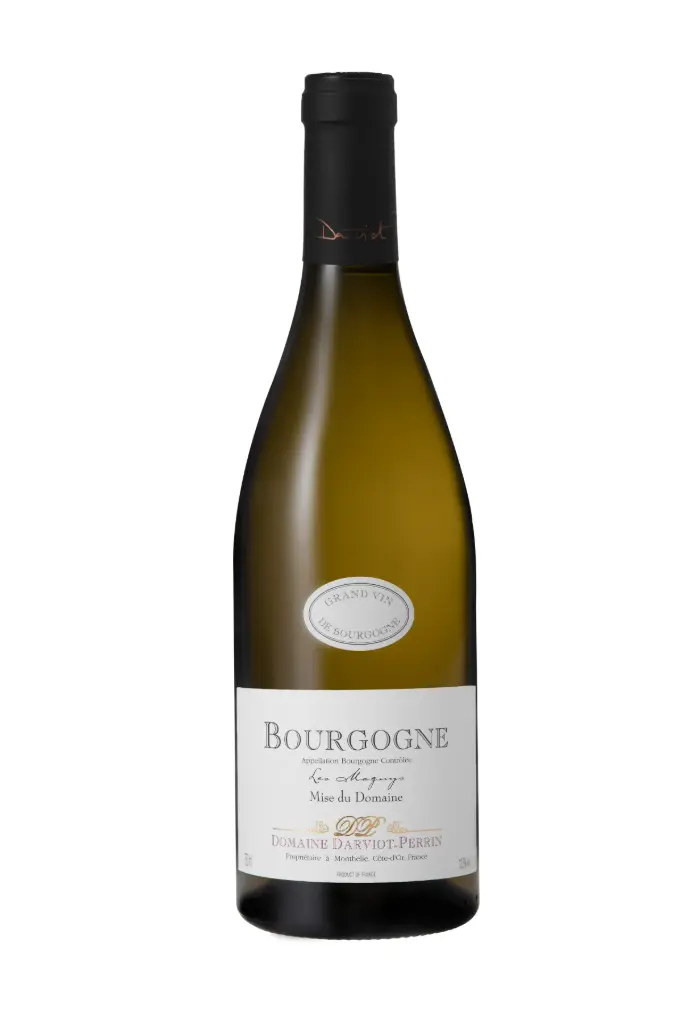 Domaine Darviot-Perrin - Bourgogne Les Magnys 2022 (75cl)