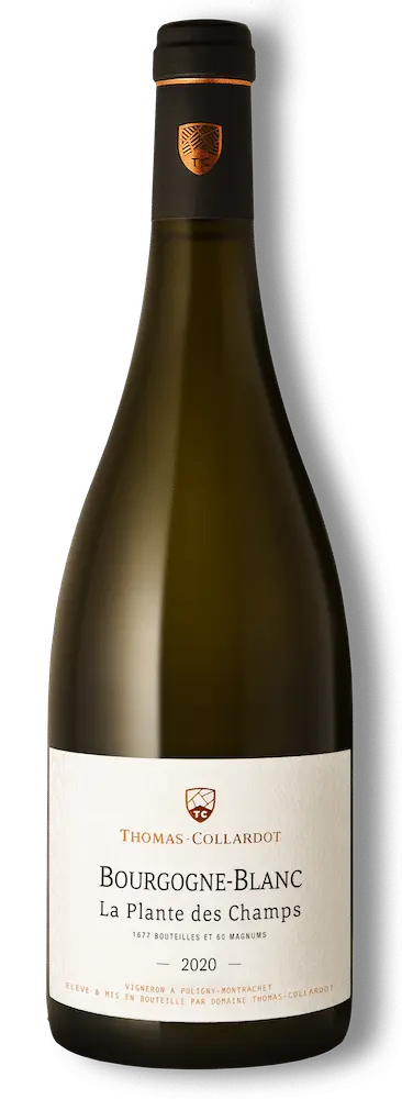 Domaine Thomas-Collardot - Bourgogne La Plante des Champs 2023 (75cl)