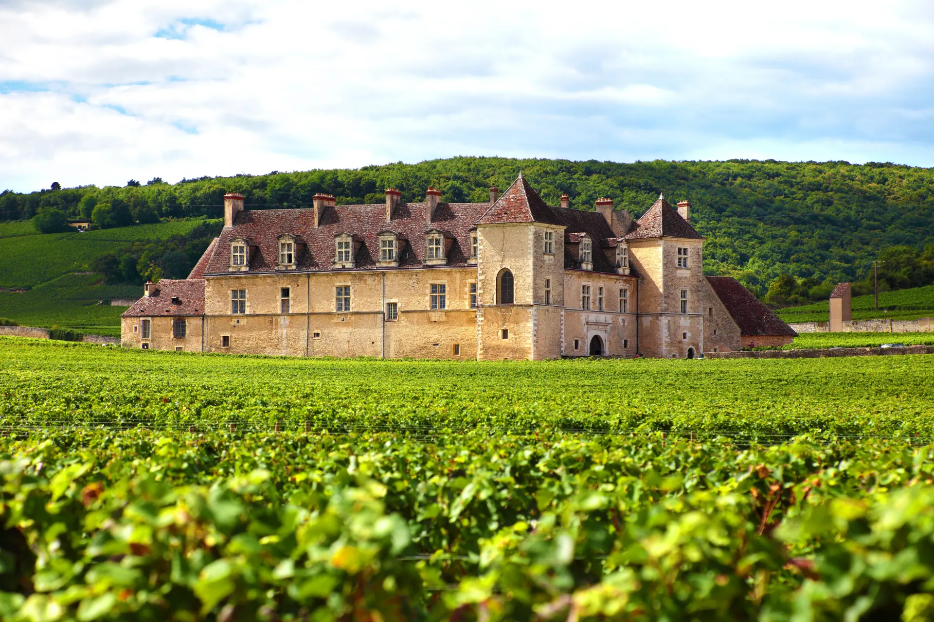 Geschenkpakketten: Toppers uit de Bourgogne (Pinot Noir)