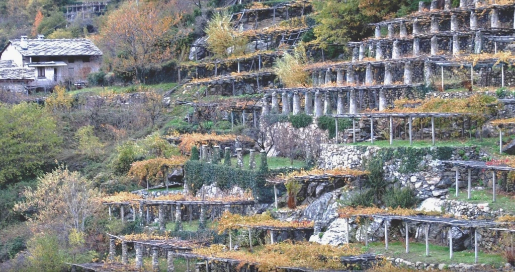 Geschenkpakketten: Alto Piemonte